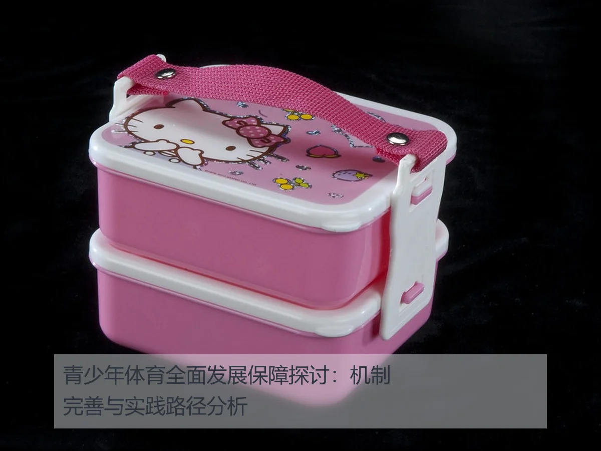 青少年体育全面发展保障探讨:机制完善与实践路径分析